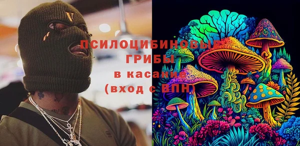 PSILOCYBIN Михайлов