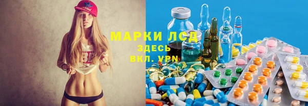 PSILOCYBIN Михайлов
