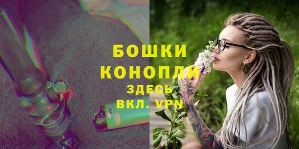 PSILOCYBIN Михайлов