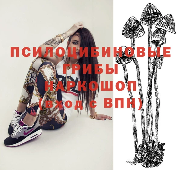 тгк Наволоки