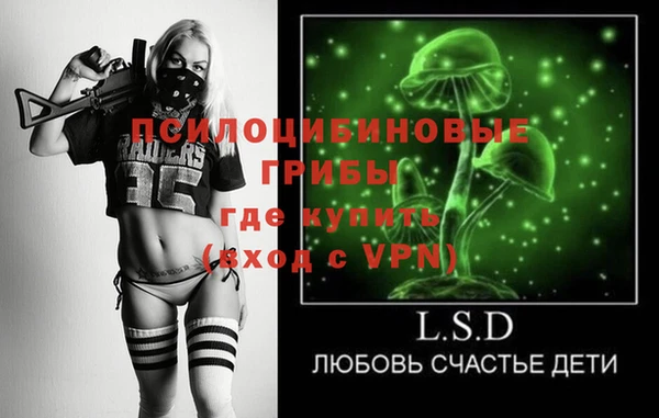 PSILOCYBIN Михайлов