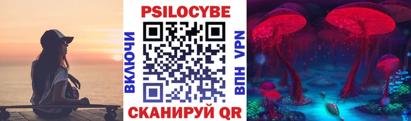Псилоцибиновые грибы Psilocybine cubensis  купить   Оренбург 