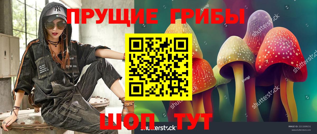 Галлюциногенные грибы Magic Shrooms  Вход с VPN  Оренбург 