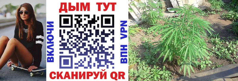 где купить наркоту  Оренбург  МАРИХУАНА THC 21% 